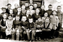 safronovka-1102