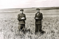safronovka-1107