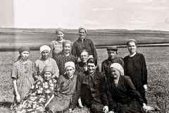 safronovka-1109