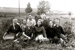 safronovka-1113