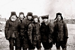safronovka-1118