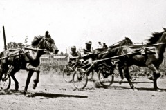 safronovka-1119
