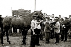 safronovka-1120