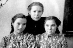 safronovka-1154