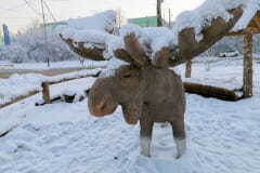 pamyatniki-cheremhovo-2020-01-12-16-54-08