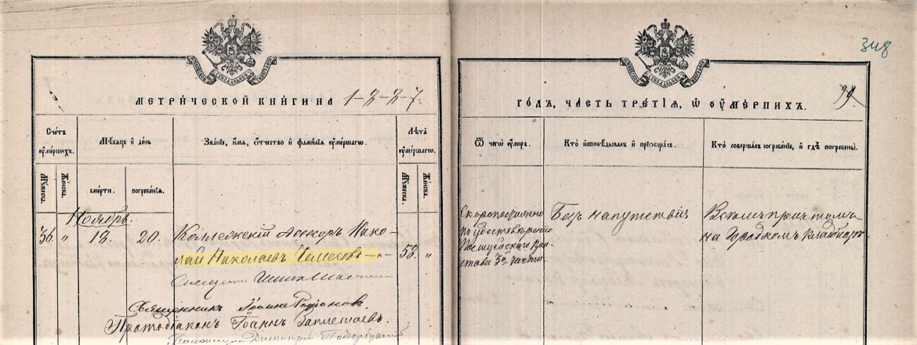 Николай Николаевич Чемесов смерть 1887 г.